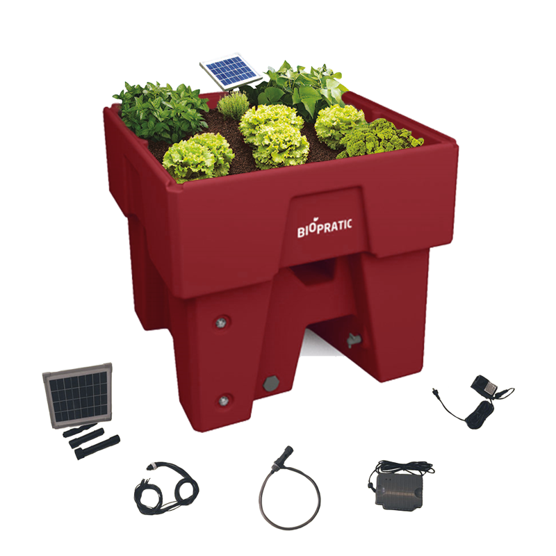 Biopratic - Jardinière Autonome & Kit solaire d'arrosage - Couleur Rubis