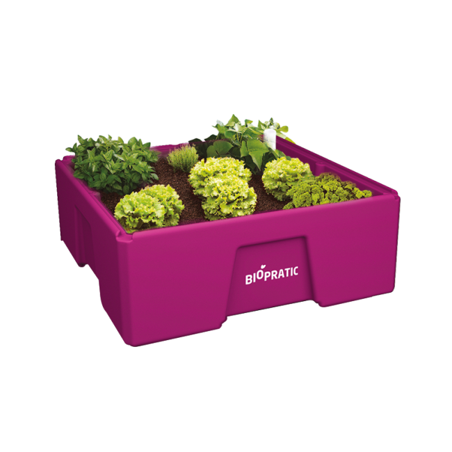 Biopratic - Jardinière Semi Autonome - Couleur Lilas